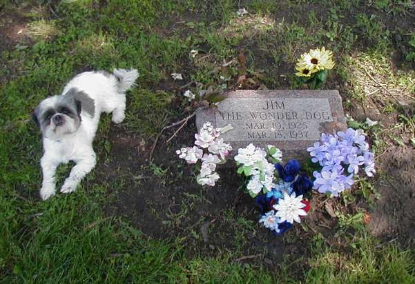 2003-0525-Libby-at-jim-the-Wonder-Dogs-grave.jpg