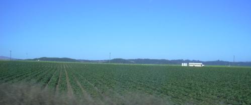 2003-0810-los-angeles-to-san-francisco-farmland.jpg