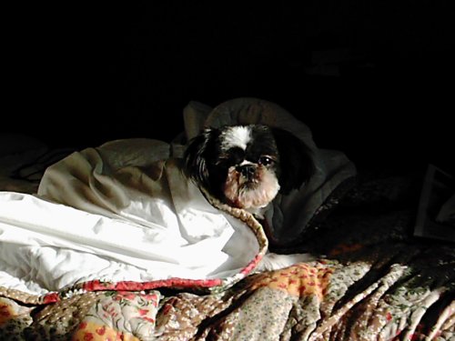 2005-0818-libby-waking-up.jpg