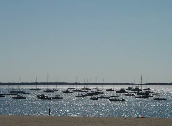 2002-0821-boats-in-harbor-hyannis-ma.jpg