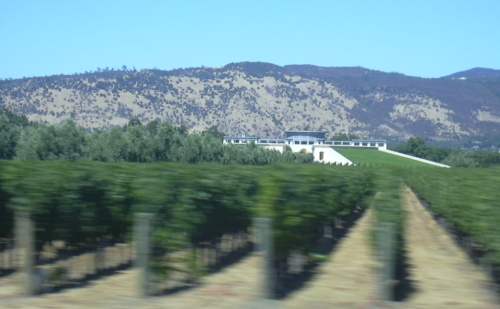 2003-0811-napa-valley-view-from-car.jpg