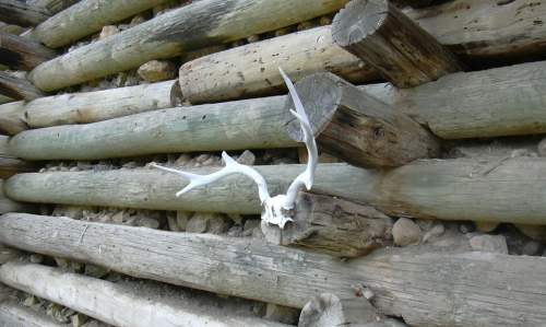 2003-0816-idaho-springs-cemetery-antlers.jpg