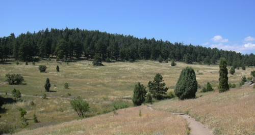 2003-0815-mt-falcon-park-denver-meadow-1.jpg