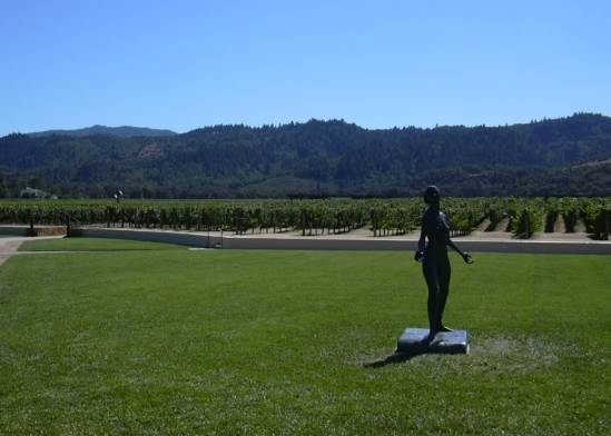 2003-0811-napa-valley-robert-mondavi-vineyards.jpg
