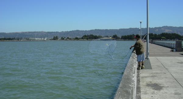 2003-0811-berkeley-pier-net-fishing.jpg